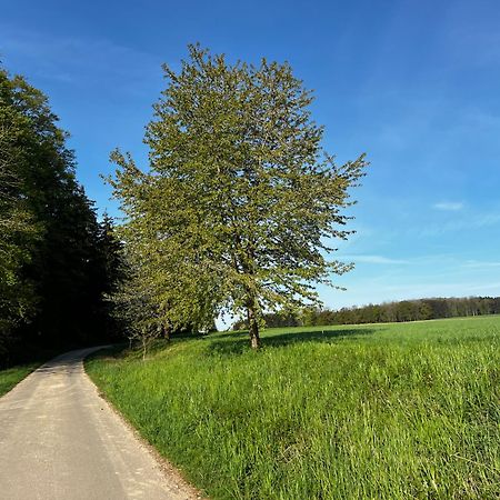 Klosterberghaus - Kontaktloser Check-In Ельхінген Екстер'єр фото