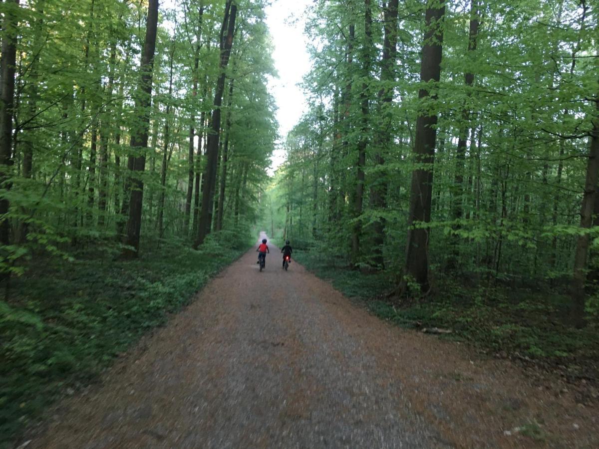 Klosterberghaus - Kontaktloser Check-In Ельхінген Екстер'єр фото