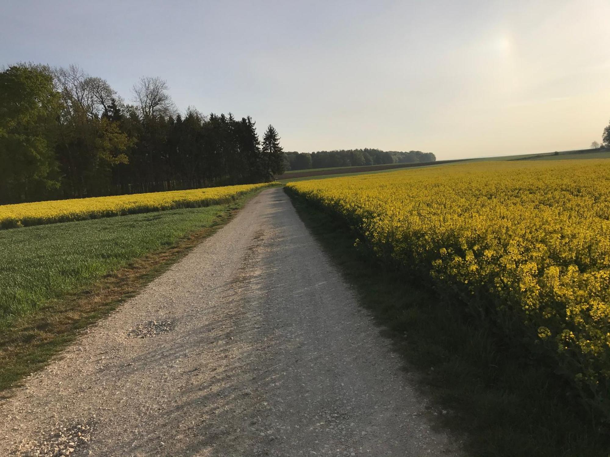 Klosterberghaus - Kontaktloser Check-In Ельхінген Екстер'єр фото