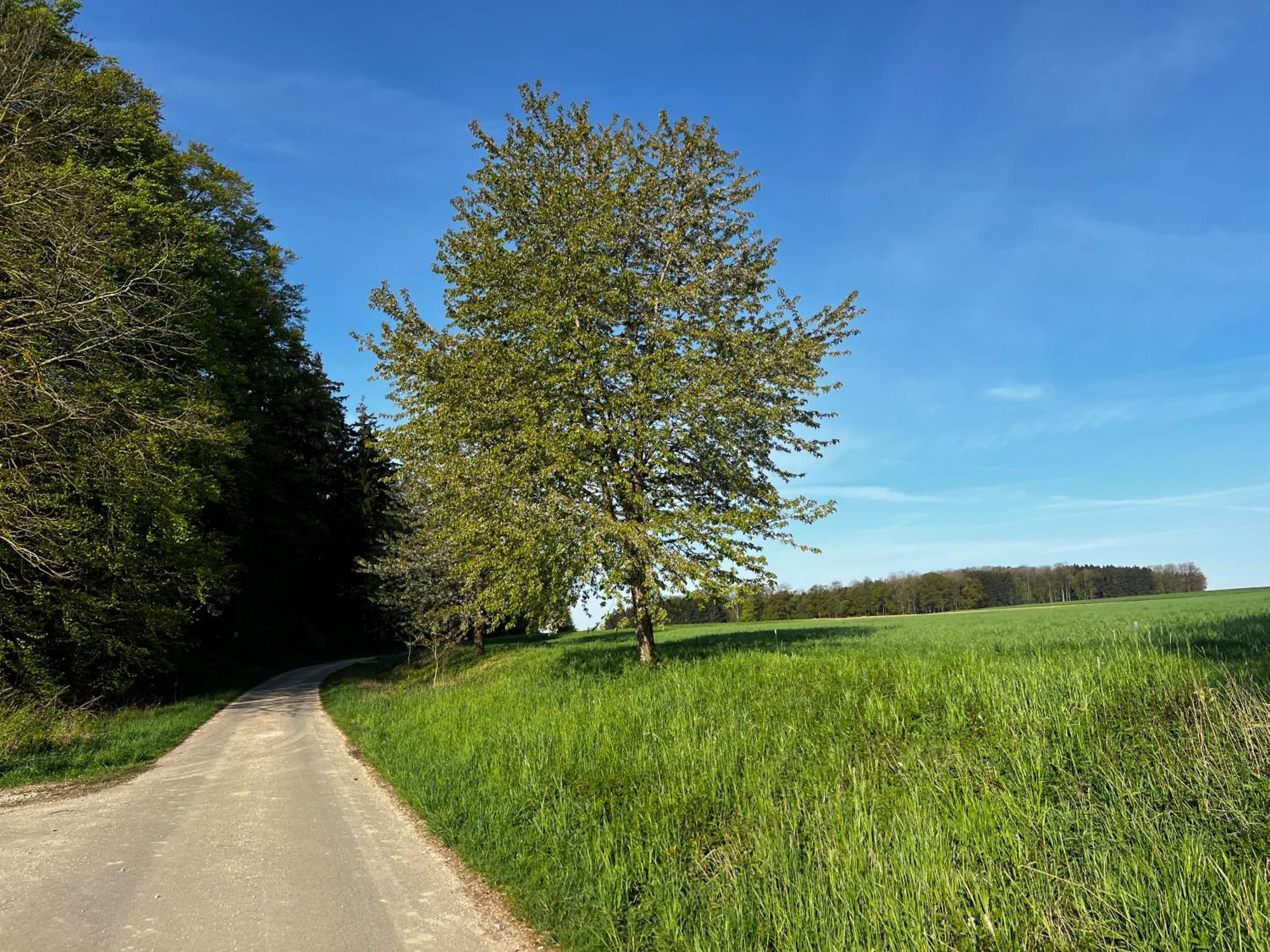 Klosterberghaus - Kontaktloser Check-In Ельхінген Екстер'єр фото
